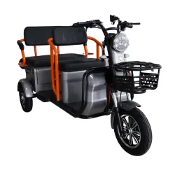 Triciclu electric Eco Ride, autonomie 42km, viteza maxima 25km/h, JP800DQZ-A
